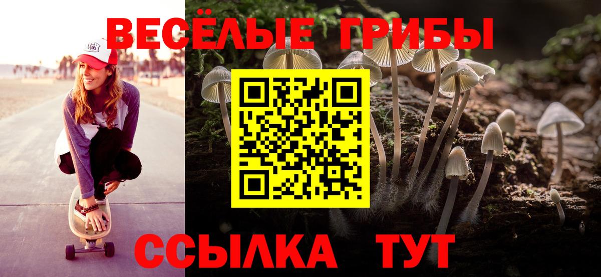 Псилоцибиновые грибы ЛСД Тверь